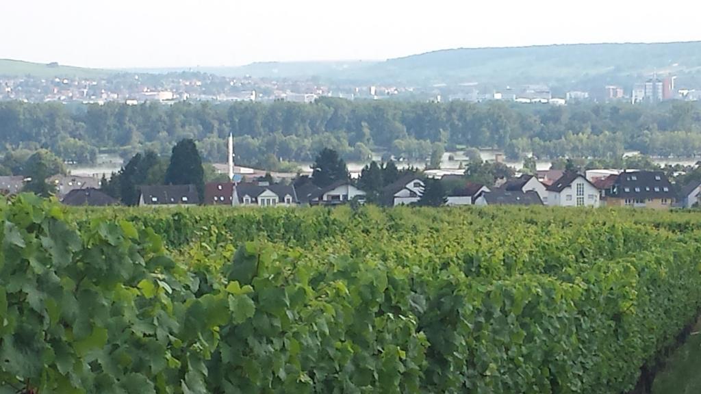 Ferienwohnung Weingut Leis Эстрих-Винкель Номер фото