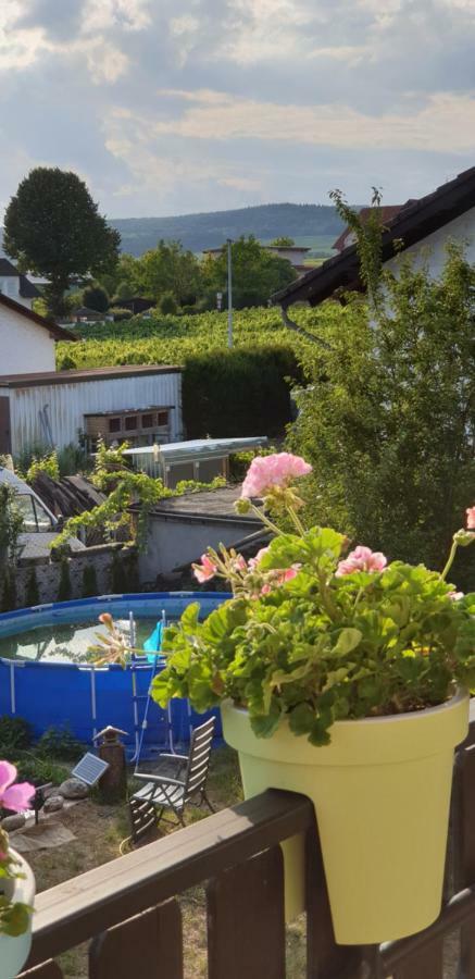 Ferienwohnung Weingut Leis Эстрих-Винкель Экстерьер фото